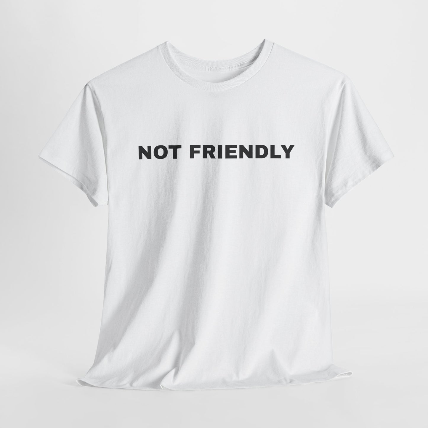 NOT FRIENDLY Tee