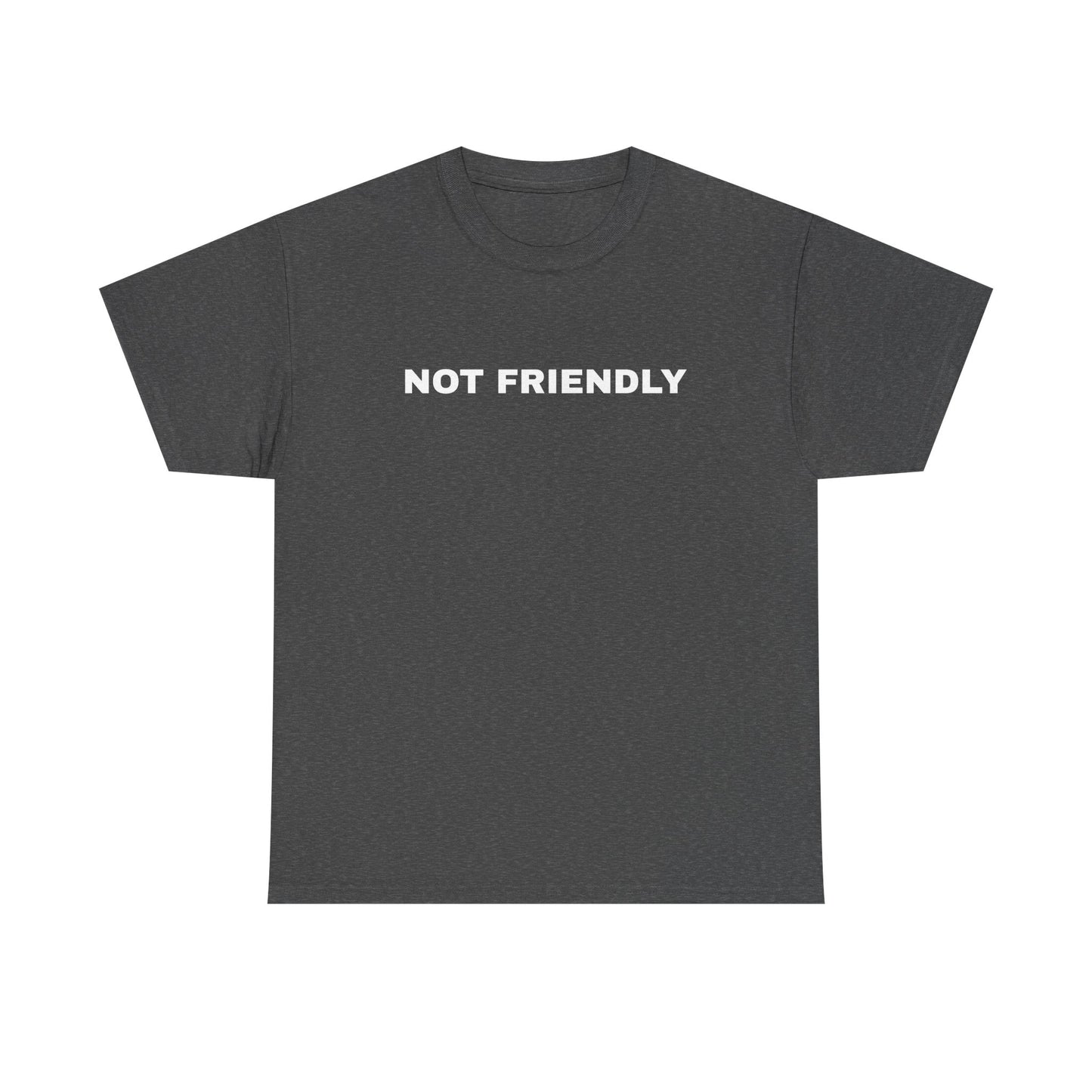 NOT FRIENDLY Tee