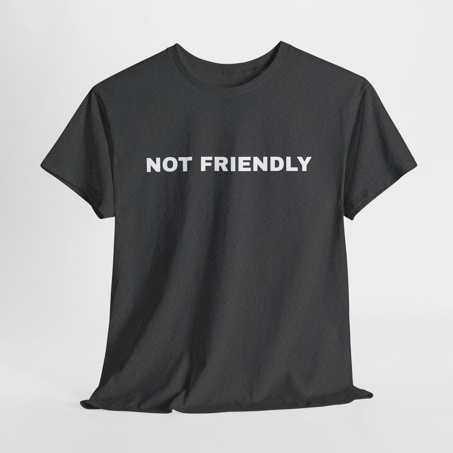 NOT FRIENDLY Tee