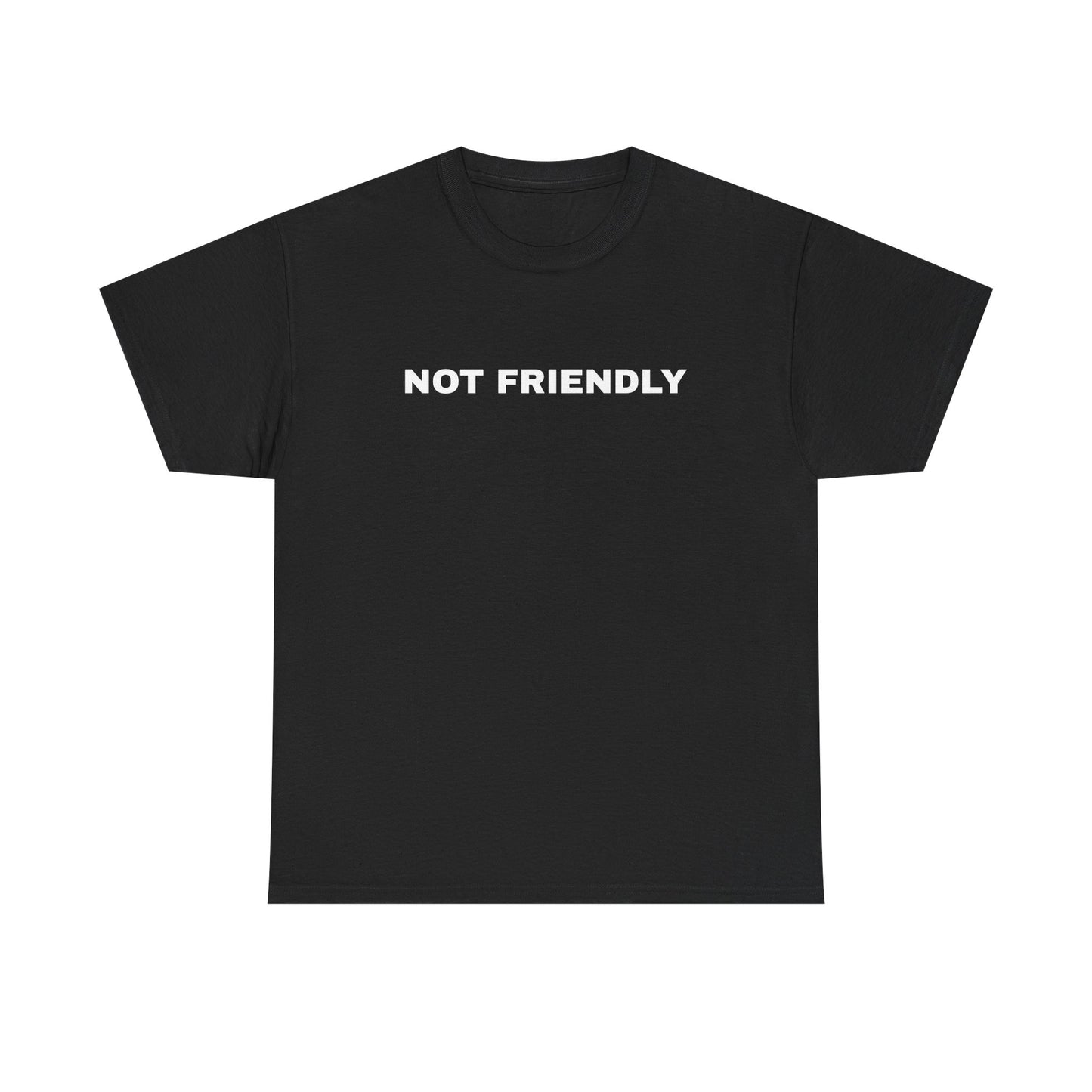 NOT FRIENDLY Tee