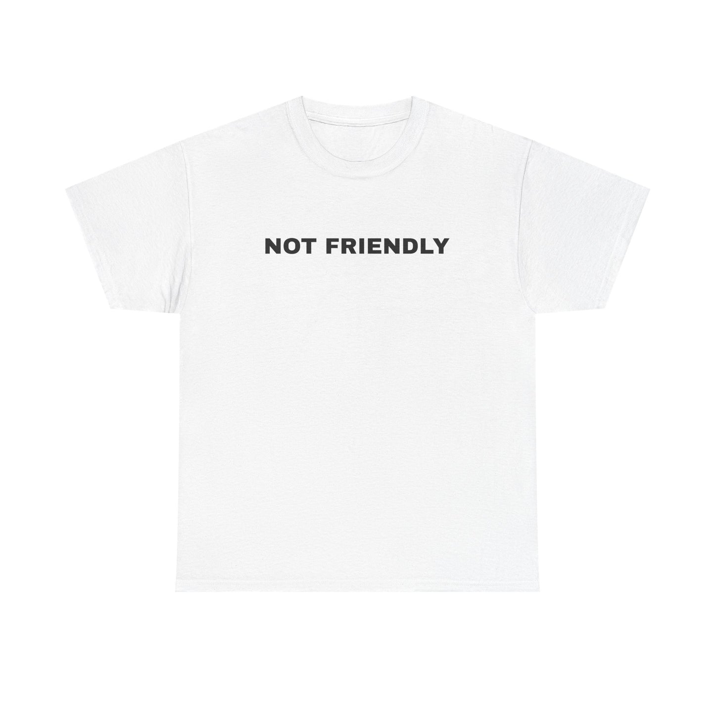 NOT FRIENDLY Tee