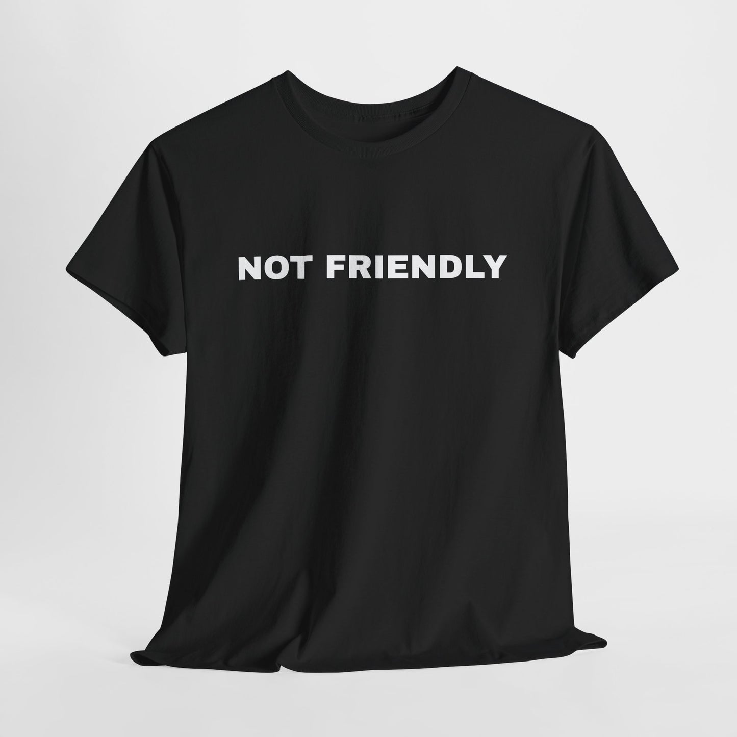 NOT FRIENDLY Tee