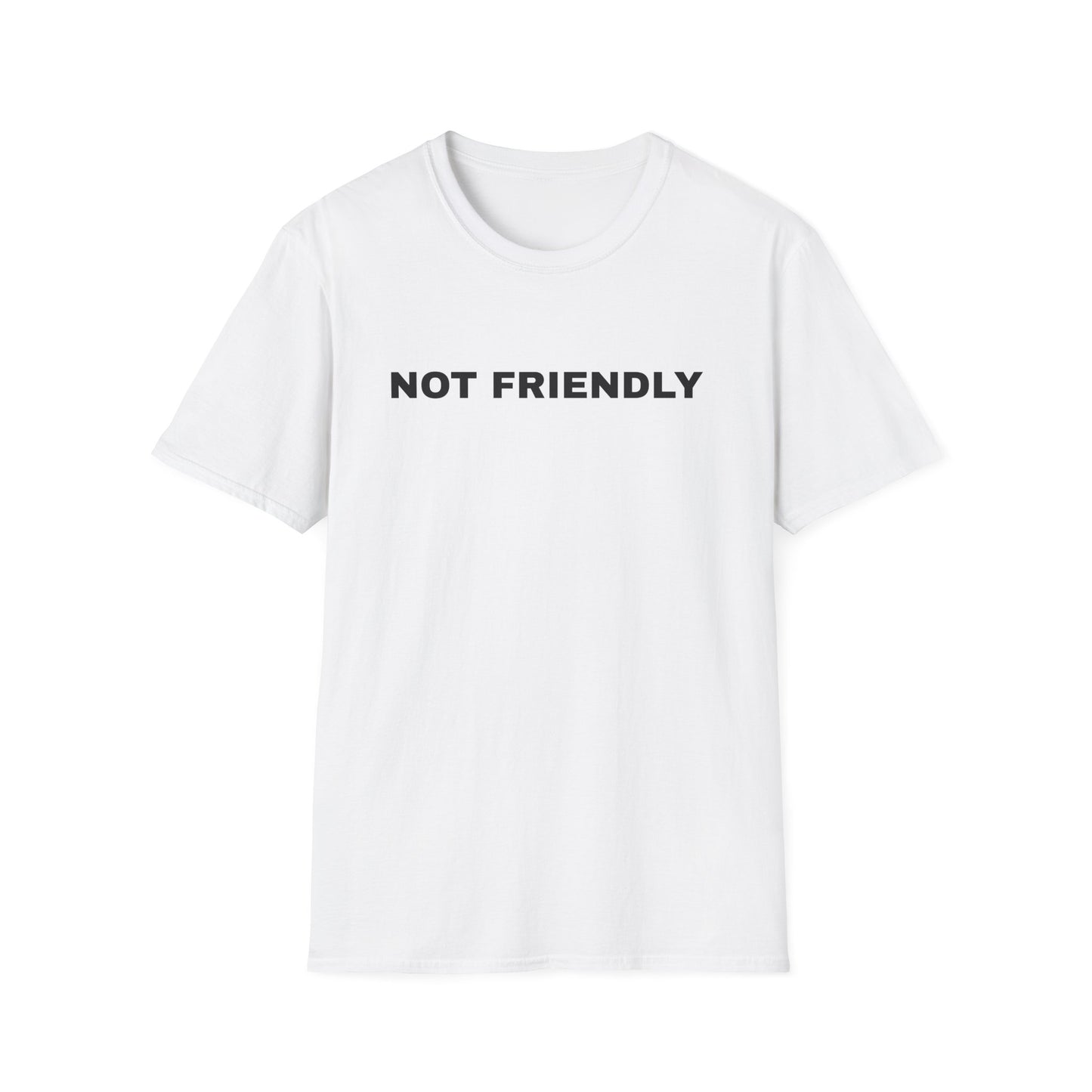NOT FRIENDLY Tee