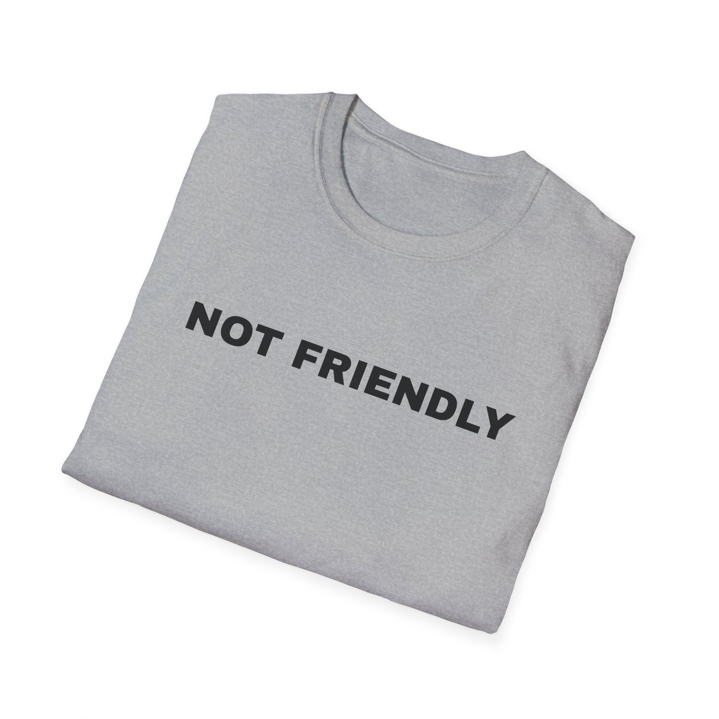 NOT FRIENDLY Tee