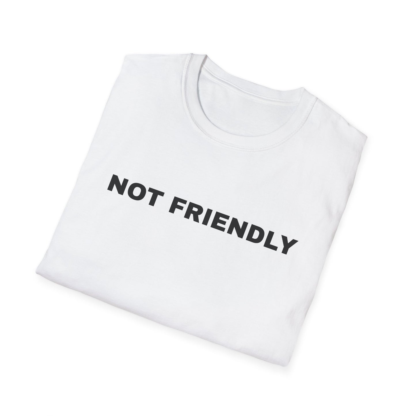 NOT FRIENDLY Tee